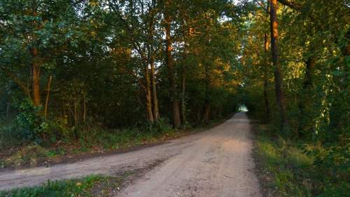 Działka letniskowa w pobliżu Narwi