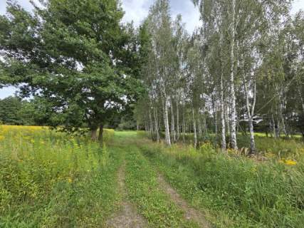 Piękna z drzewami, prądem, wodą i MPZP