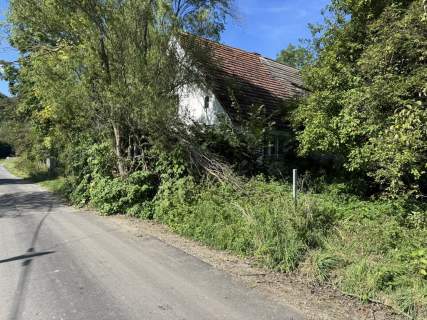Dom wolnostojący 150 m , duża działka, do remontu