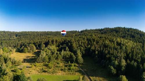 Działka leśna 20 700 m Kasina Wielka