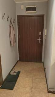 Mieszkanie do wynajęcia, 11 m2, Poznań