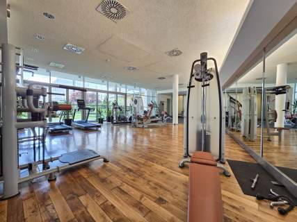 Zwierzyniecka, Angel Plaza, 60 m2, siłownia, klimatyzacja, jacuzzi,...