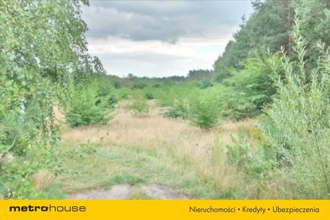 30 715 m przy S8 terenPUhale,magazyny,logistyka