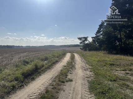 Działka rolna 2,85 ha na sprzedaż Kamierowo 425t