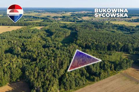 Działka leśna pow. 29.600 m , Bukowina Sycowska