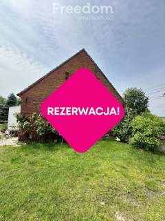 Dom z dużą działką i budynkami gospodarczymi