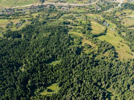 Działka leśna 20 700 m Kasina Wielka