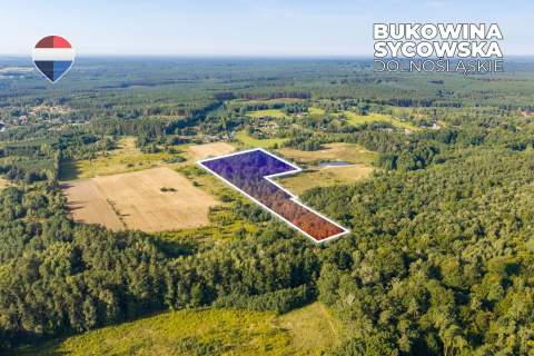 Działka leśna pow. 29.600 m , Bukowina Sycowska