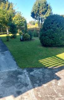 Dom 130 m2/ działka 14a/