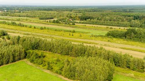Działka rolna 71 arów Bidoliny Radłowskie