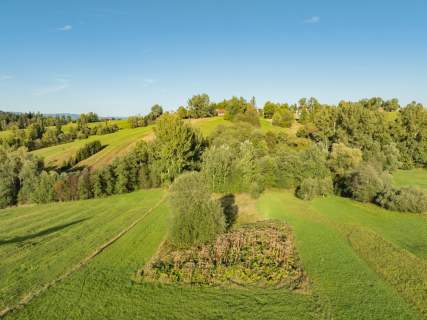 Działka rolna