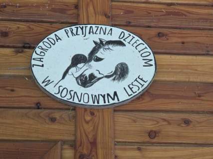 Wyjątkowe siedlisko 138m2, stajnia, agroturystyka przy lesie...
