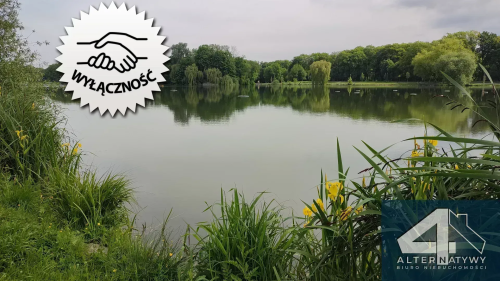 Ustawne obok Zalewu Nowohuckiego