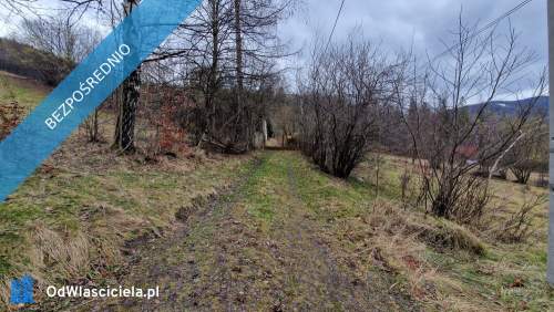Syndyk sprzeda działki w Ustroniu