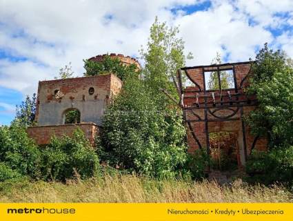 Ruiny Willi i Pałacu w Starej Kraśnicy 2,8 ha