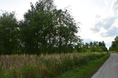 Działki 2 x 11a pod zabudowę - Rudna Mała