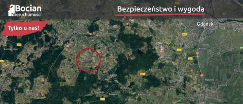 Uzbrojona, płaska, słoneczna, kameralna -Przyjaźń