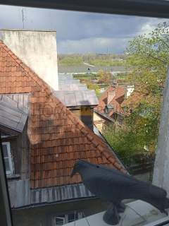 Mini kawalerka na Starym Mieście ulica Brzozowa