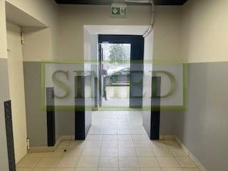 Suchy, ogrzewany magazyn, dostep24,ochrona,-1