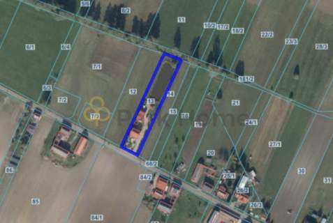 Dwa domy I staw I duża działka I Gmina Dolsk