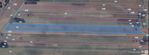 Na sprzedaż gospodarstwo 11,34ha Kisielsk