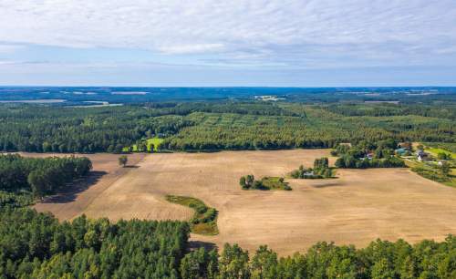 WYJĄTKOWA DUŻA DZIAŁKA SIEDLISKOWA NA KASZUBACH