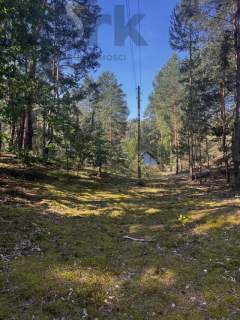 Leśna działka na Wydmach Międzyborowskich 2221 m2 - bez prowizji