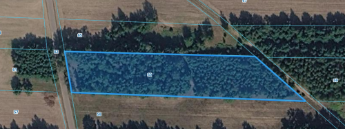 Na sprzedaż gospodarstwo 11,34ha Kisielsk