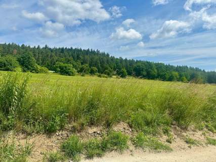 Złoty Widok na Twoją Przyszłość 1800 m2 Słupice