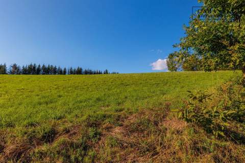 DREWNIANY DOM PO GRUNTOWNYM REMONCIE NA 1,35 HA -