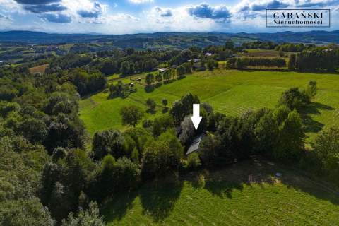 DREWNIANY DOM PO GRUNTOWNYM REMONCIE NA 1,35 HA -