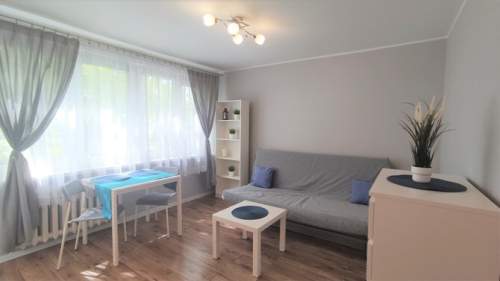 Niemcewicza 14, Górna, studio pet friendly