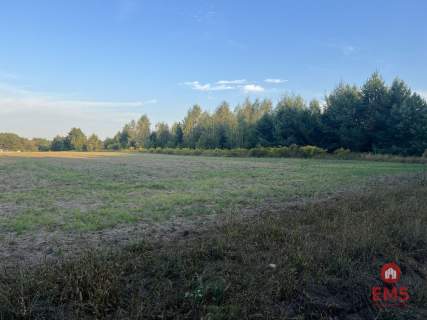 Działka rolna ok. 2 ha w gminie Czyże.