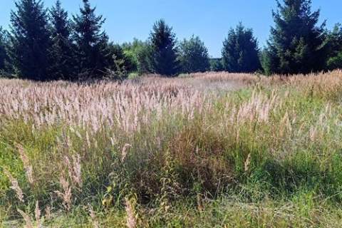 Działka budowlana, Dolice, powiat stargardzki -945 m2, 195 999...