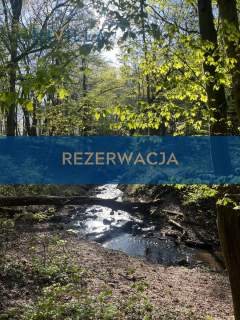 Nowy dom blisko plaży i lasu Gdynia Redłowo
