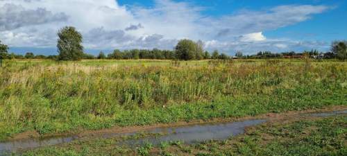Działka budowlana na sprzedaż, 1260 m2, Łady