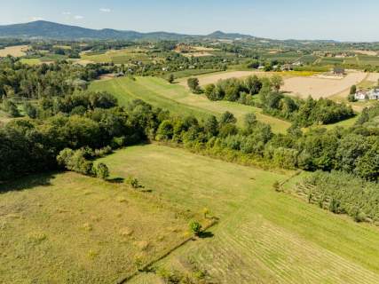 Działka rolno-leśna, 1,56 ha, Sadek, Jodłownik