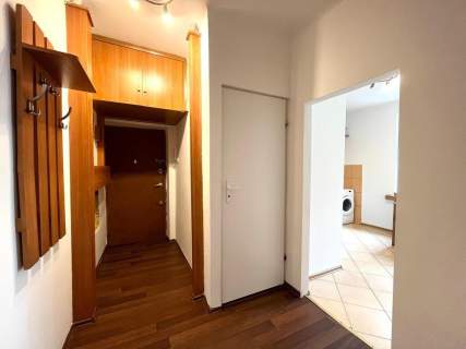 Duża kawalerka pet friendly, Marynarska 4, UŁ, ASP