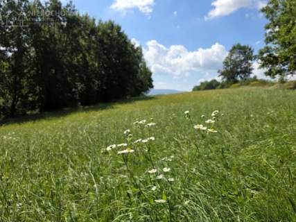 Działka rolna na sprzedaż, 5216 m2, Moszczenica