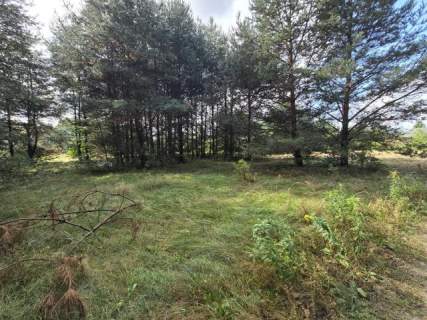 Działka budowlana na sprzedaż, 4000 m2, Ożarowice