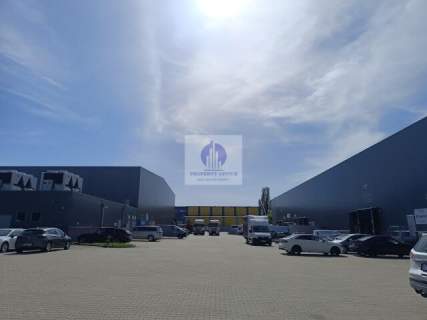 Warszawa Ursynów magazyn 292m2 do wynajęcia