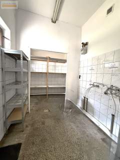 Lokal użytkowy w centrum miasta na sprzedaż