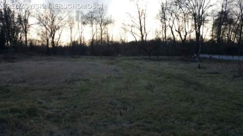 Nowodwory,3541 m2,MPZP,2 wolnostojące, 8 jednostek