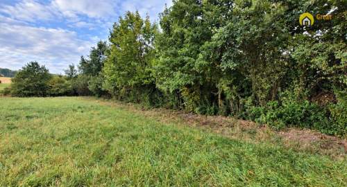 Działka 7700 m Brudzów Gmina Morawica