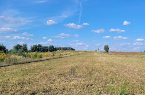 Działka budowlana las zalew