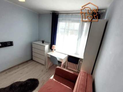 Studio, komórka, pet-friendly - Herberta 2