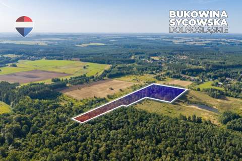 Działka leśna pow. 29.600 m , Bukowina Sycowska