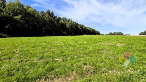 Działka pod dom przy lesie cisza i natura