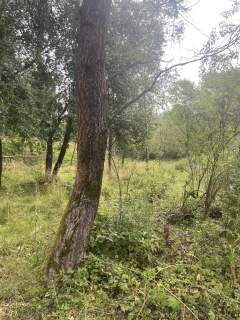 Sprzedam działkę rolną