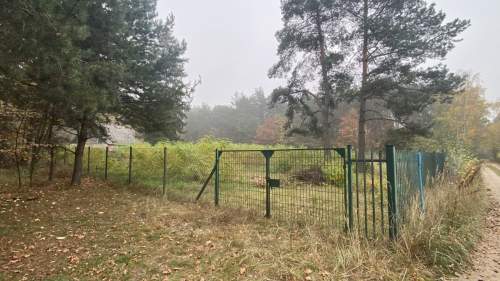 Pruszewiec, koło Tuczna - bajeczna działka w lesie